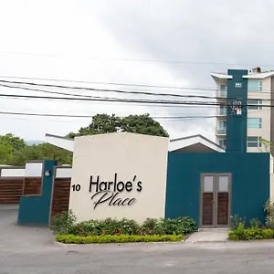 Harloe'S @ Kingstongo876 Apartment Kingston